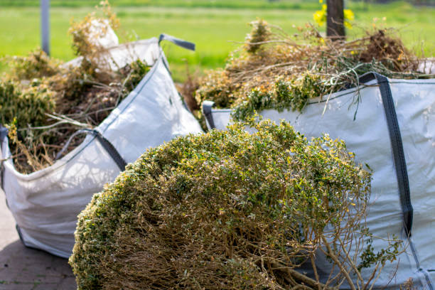 Best Yard Waste Removal  in Pauls Valley, OK
